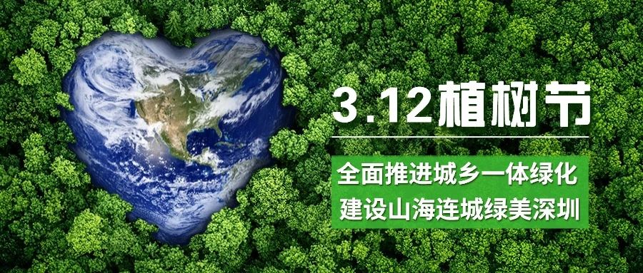 山海連城 綠美深圳 ——